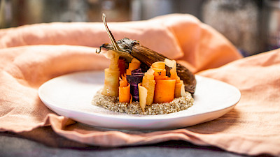 Karottenkringel und Aubergine auf Quinoa