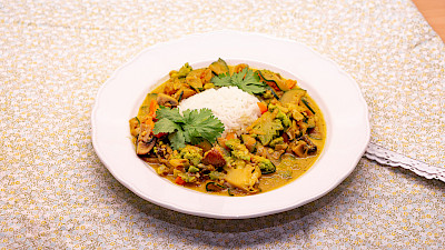 Coconut Vegetable Curry with Rice